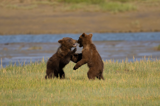Lake Clark National Park and Preserve
