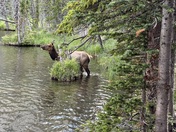 Rocky Mountain National Park