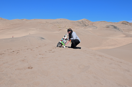 Great Sand Dunes National Park and Preserve