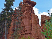 Pike National Forest 