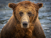 Katmai National Park and Preserve