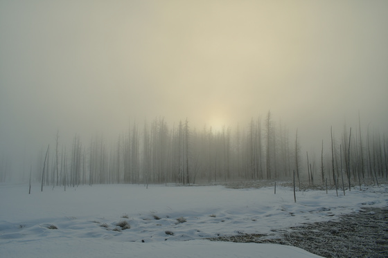 Yellowstone National Park