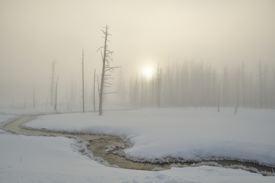 Yellowstone National Park