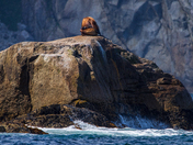 Kenai Fjords National Park