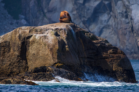 Kenai Fjords National Park