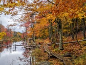 Acadia National Park