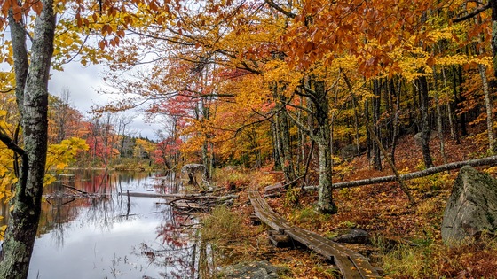 Acadia National Park