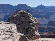 Grand Canyon National Park