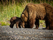Lake Clark National Park