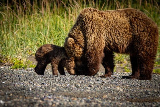 Lake Clark National Park