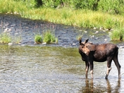 Grand Teton National Park 