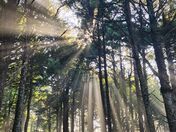 Olympic National Park