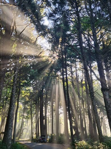 Olympic National Park