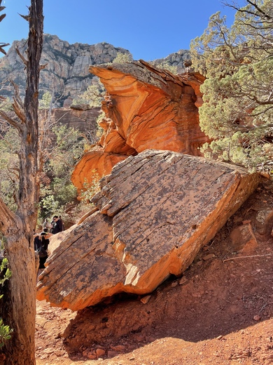 Coconino National Forest