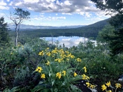 Grand Teton National Park 