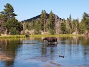 Rocky Mountain National Park