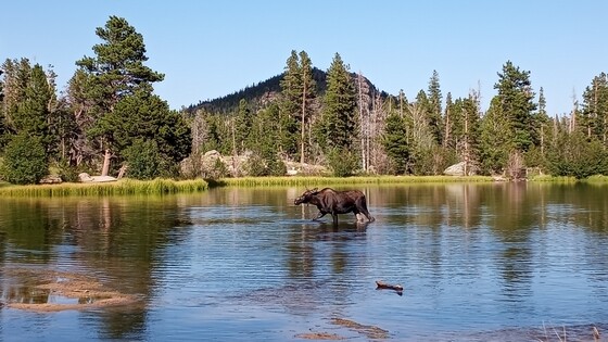 Rocky Mountain National Park