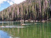 Rocky Mountain National Park
