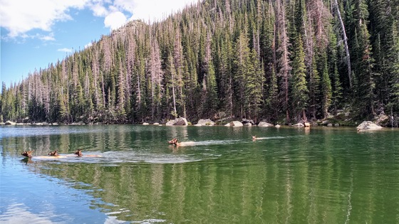 Rocky Mountain National Park