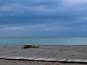 Great Lakes Division- Lake Erie 