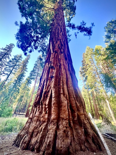 Yosemite National Park