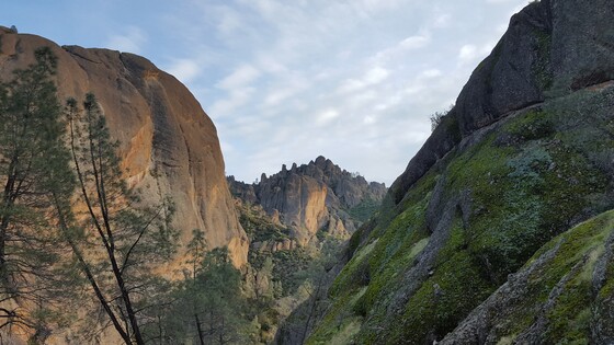 Pinnacles National Park