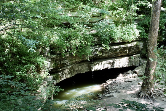Mammoth Cave 