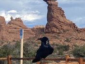 Arches National park