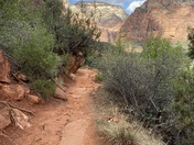 Zion National Park