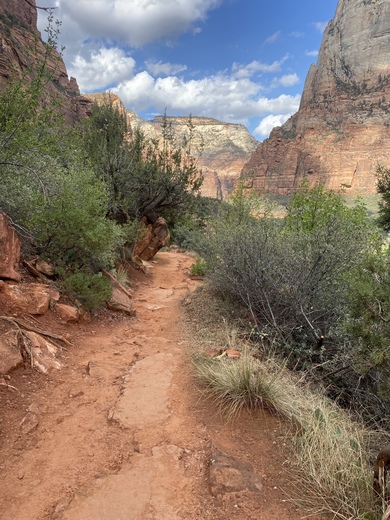 Zion National Park