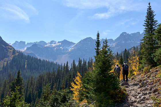 Gunnison National Forest