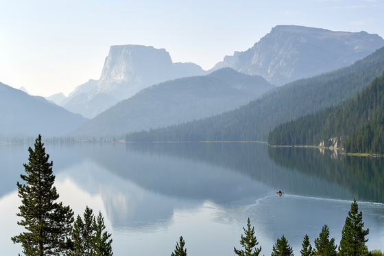 Bridger-Teton National Forest