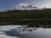 Mt. Rainier National Park