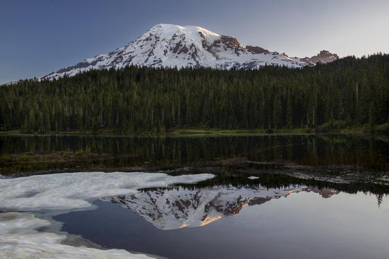 Mt. Rainier National Park