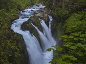 Olympic National Park