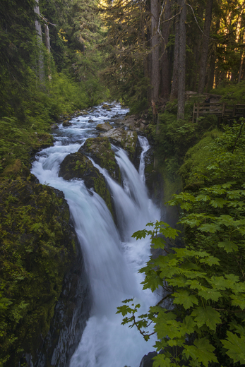 Olympic National Park