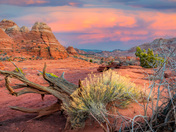 North Coyote Buttes - Arizona