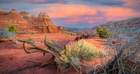 North Coyote Buttes - Arizona
