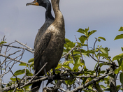 Everglades National Park