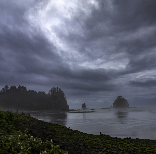 Olympic National Park