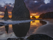 Olympic National Park