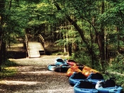 Congaree National Park 