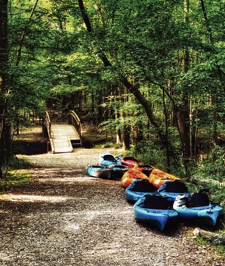 Congaree National Park 