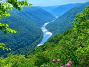 New River Gorge Reserve