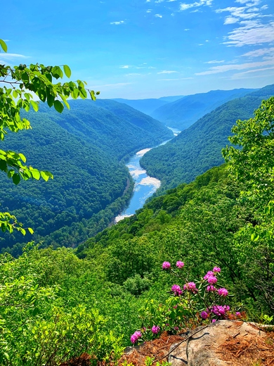 New River Gorge Reserve