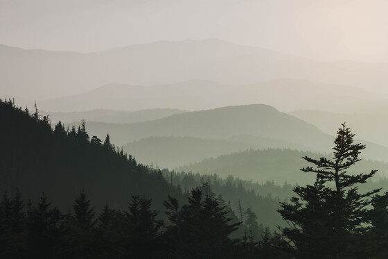 Great Smoky Mountain National Park