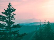 Great Smoky Mountain National Park 
