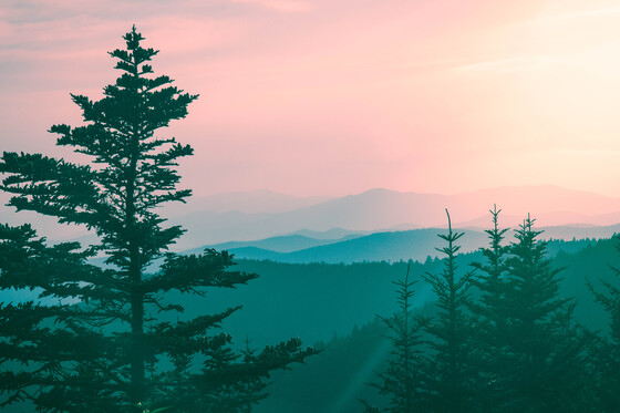 Great Smoky Mountain National Park 