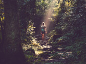 Great Smoky Mountains National Park