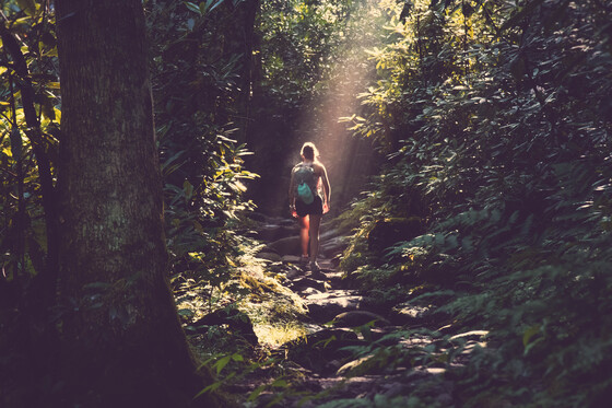 Great Smoky Mountains National Park